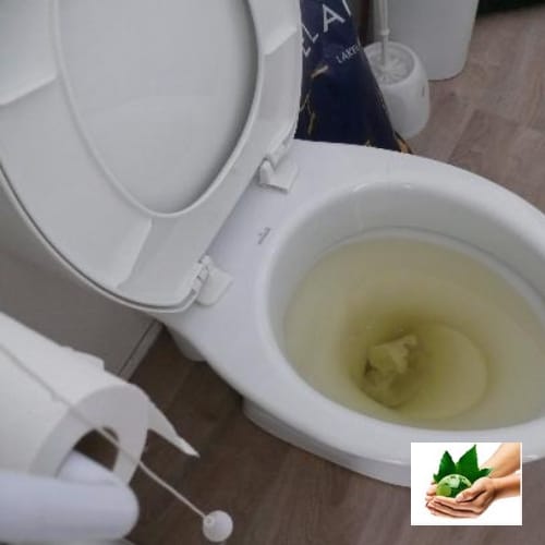 6 cách thông bồn cầu bị tắc nặng đơn giản, không tốn chi phí 6 cách thông bồn cầu bị tắc nặng đơn giản, không tốn chi phí