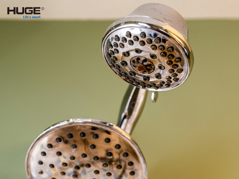 tại sao sen cây nhiệt độ bị bám cặn canxi