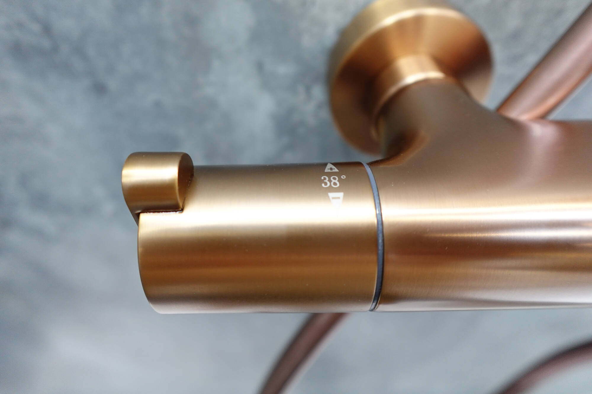 Sen cây nhiệt độ Sen cây nhiệt độ