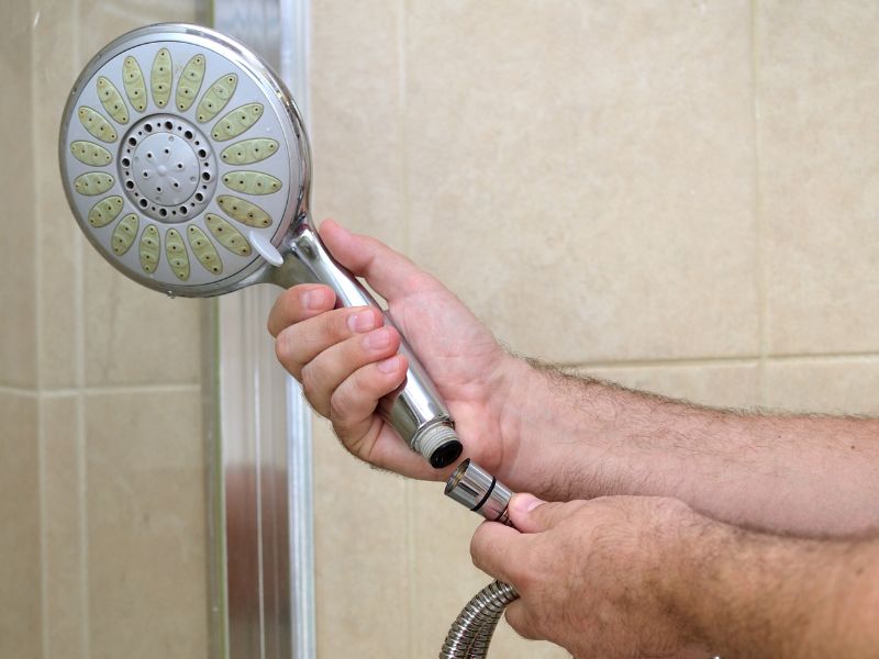 Lắp bát sen và tay sen của Sen cây nhiệt độ Lắp bát sen và tay sen của Sen cây nhiệt độ