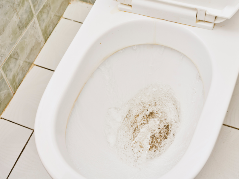 Hậu quả của việc bồn cầu bị chảy nước liên tục Hậu quả của việc bồn cầu bị chảy nước liên tục